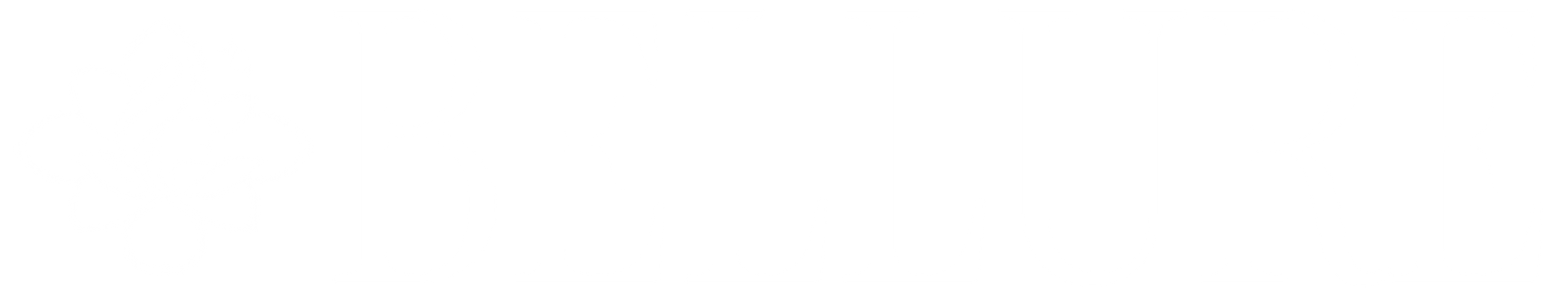 Logo-White-1.png